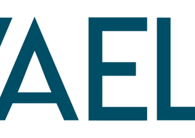 Logo VaelSys