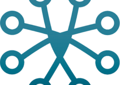 Logo VaelSys
