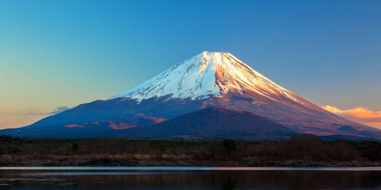 Fuji Fuji E1746612055893